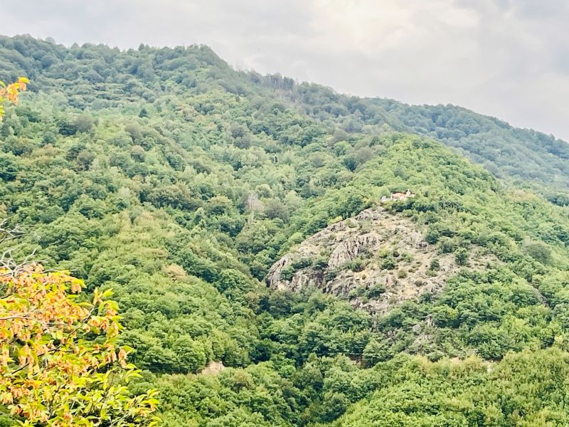 Ἑορτασμὸς τῆς Ἁγίας Μεγαλομάρτυρος Χριστίνης στὸ Παρανέστι Δράμας